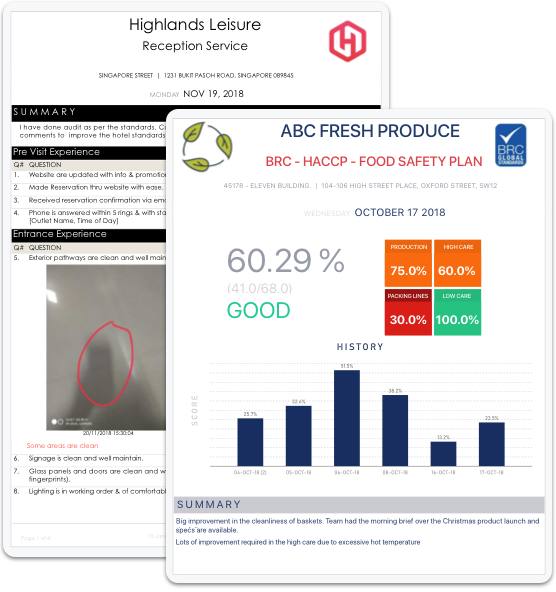 mobile inspection report