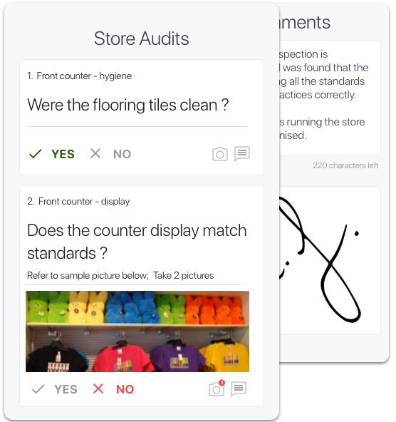 store audit app