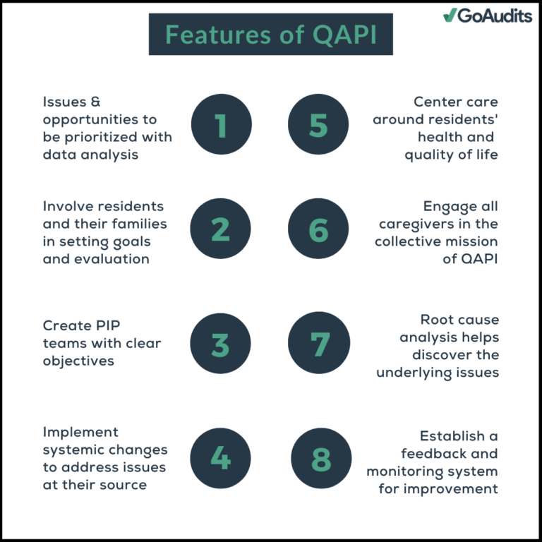 QAPI in Healthcare: 5 Key Elements, Principles & Importance