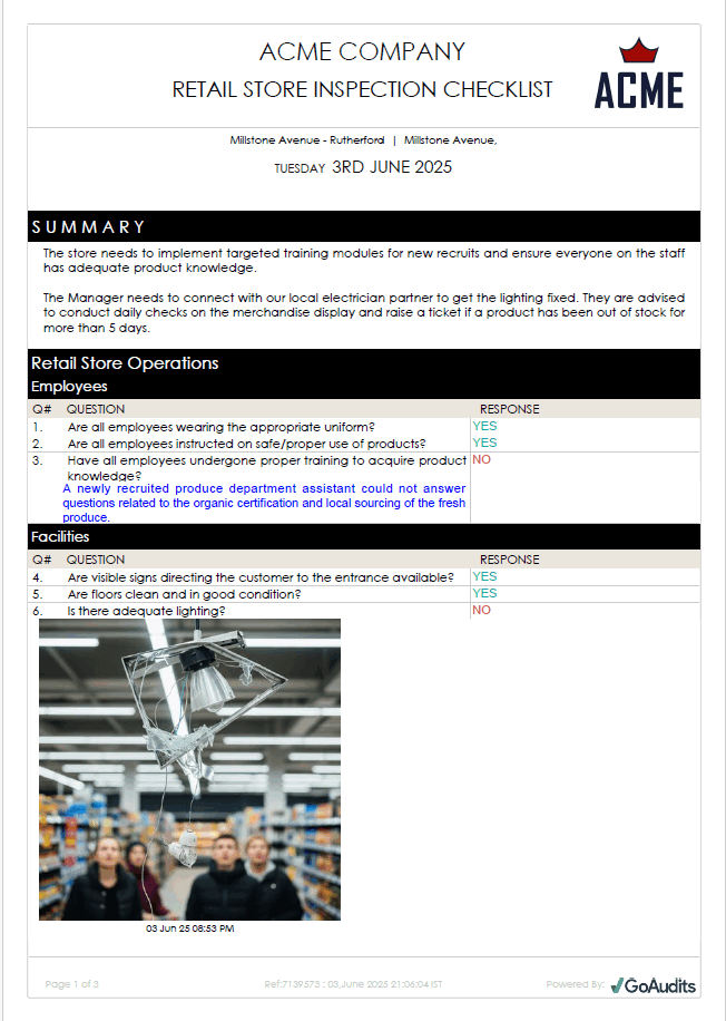 Retail Audit Report Template