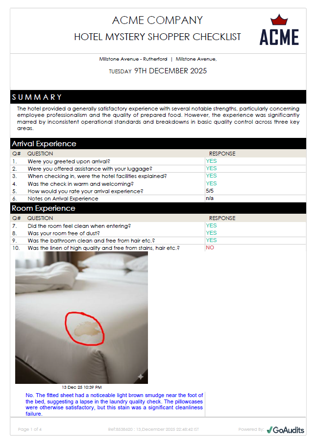 Mystery Audit Report Template