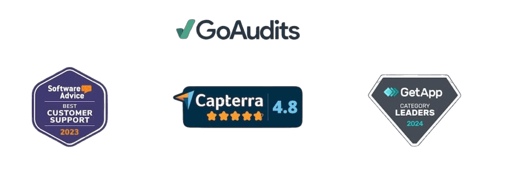 GoAudits review