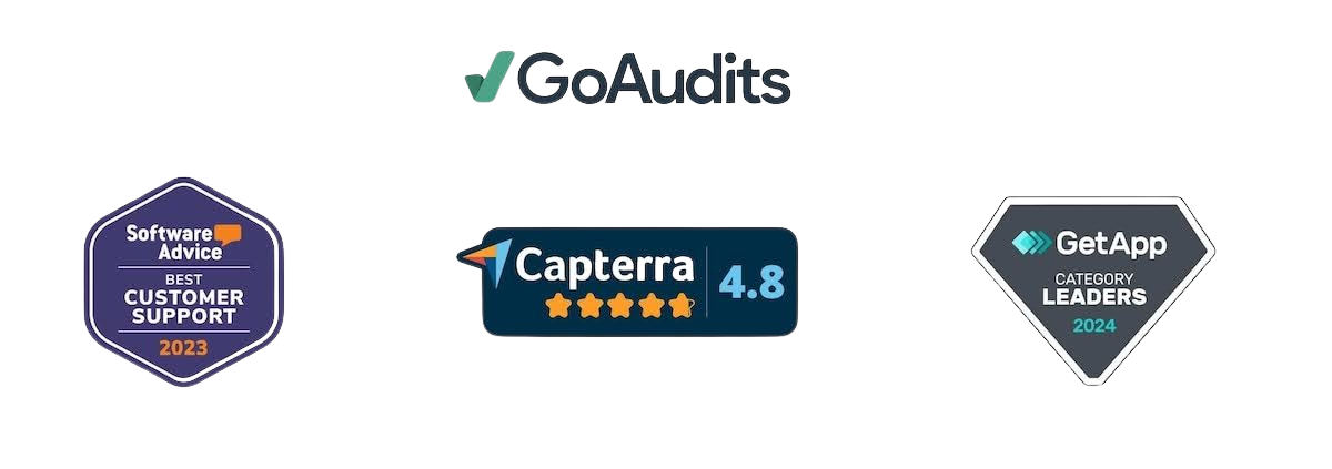GoAudits review