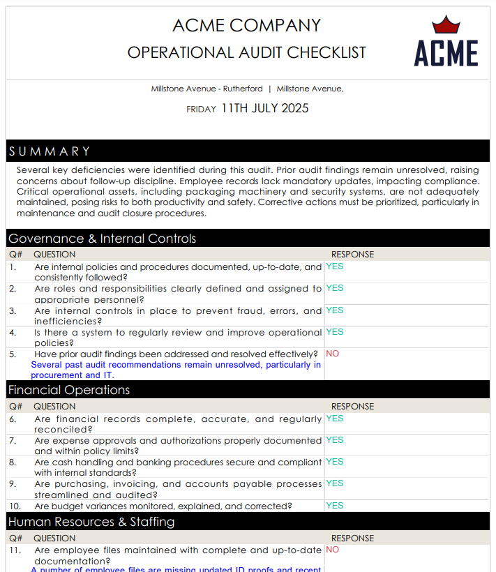 Operational audit report sample