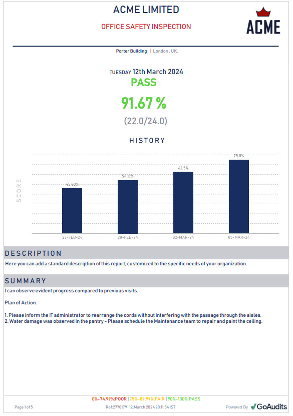 HSE audit report sample