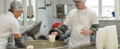 Dairy audits and inspections