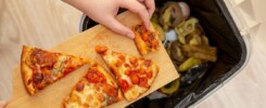 Food waste audit and software