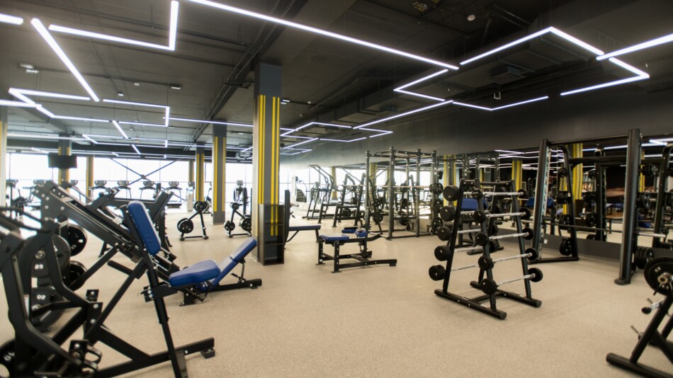 Gym Risk Assessment