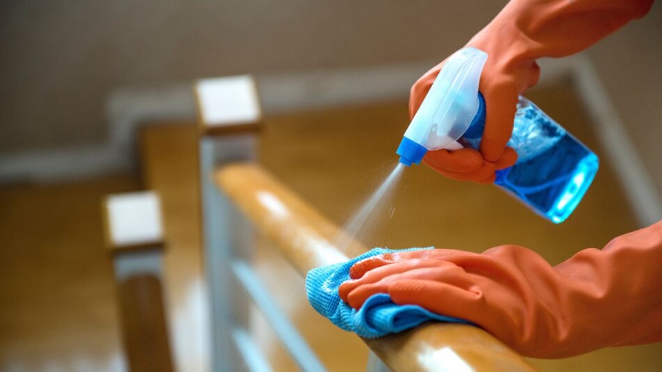 Infection prevention and control audits