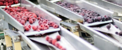 gmp audit checklists